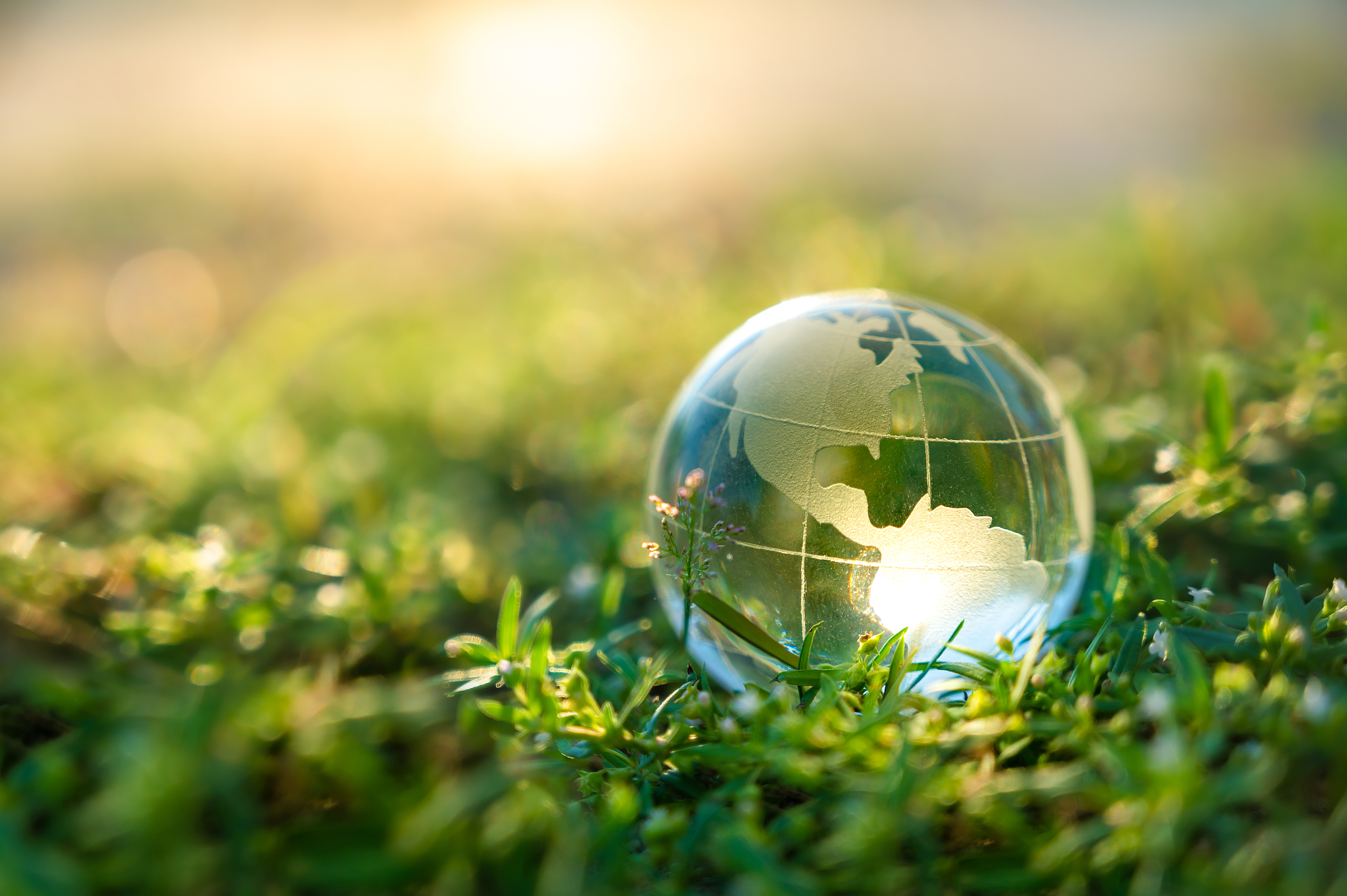 Hanshow Joins UN Global Compact’s Climate Ambition Accelerator, Deepening Commitment to Sustainability